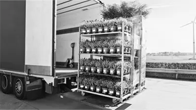 Secteur agricole