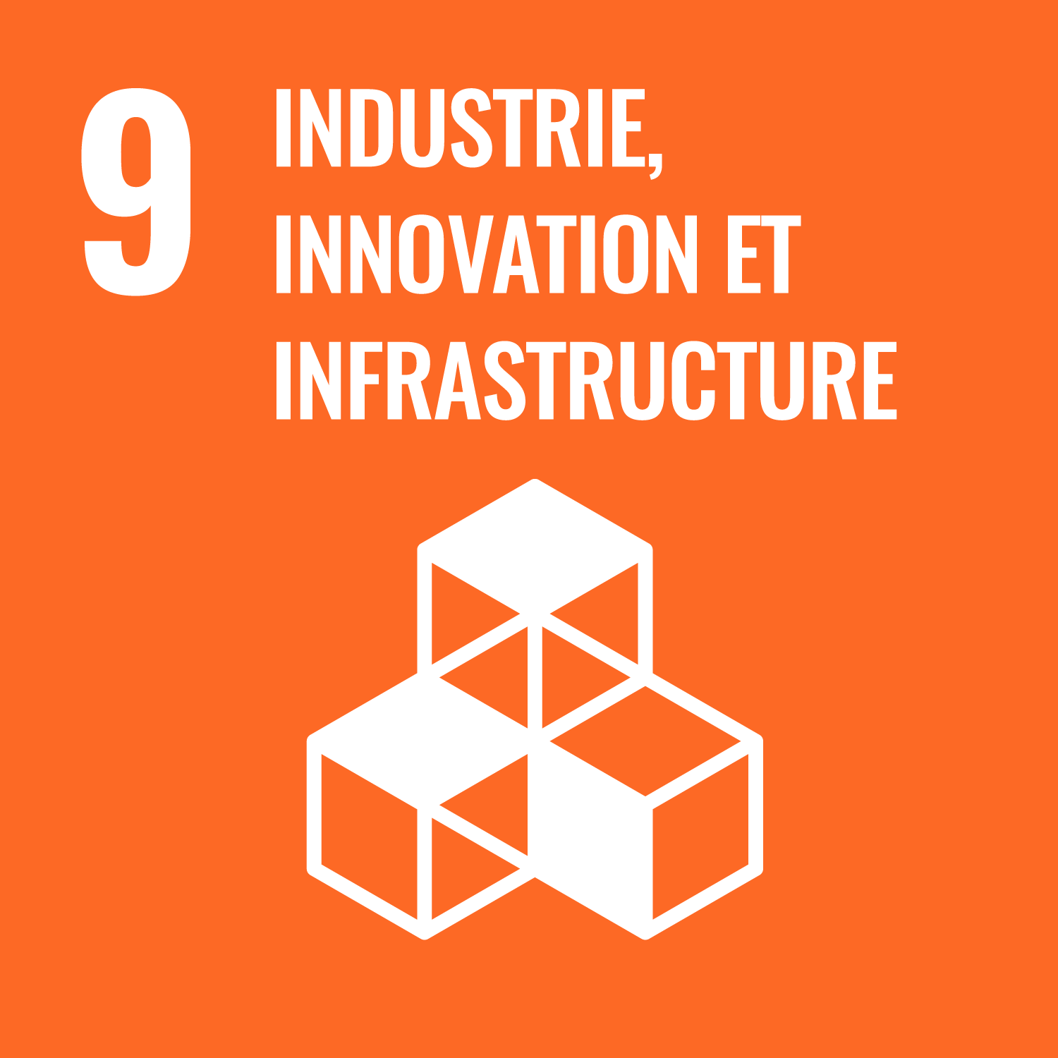 Innovation industrielle et infrastructur