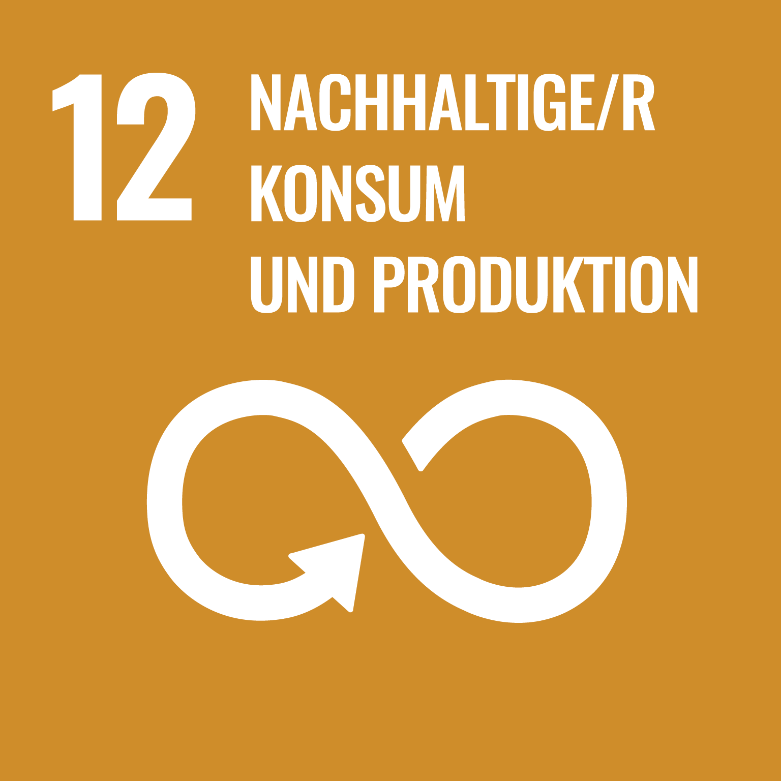 NACHHALTIGE/R KONSUM UND PRODUKTION