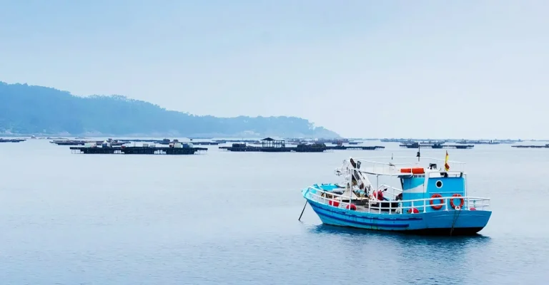 Forschung zum Thunfisch